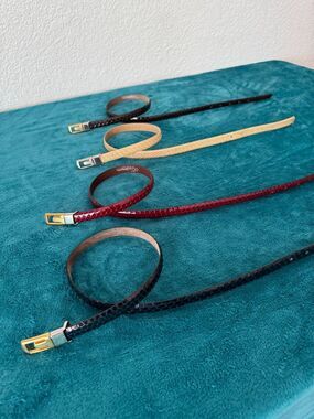 Lucienne France Rare Snake Skin Leather Belts - Size 28